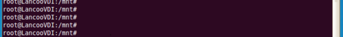 在Linux系统中如何把文件拷贝到U盘